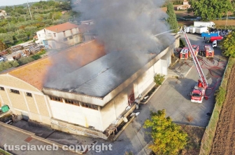Viterbo - Incendio sulla Teverina