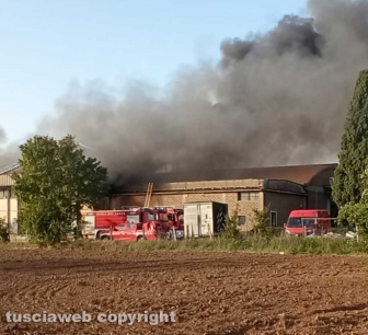 Viterbo - Incendio sulla Teverina