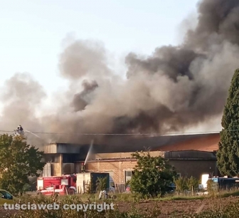 Viterbo - Incendio sulla Teverina
