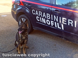 Operazione Mamuthones - Carabinieri, sopralluogo a Ronciglione