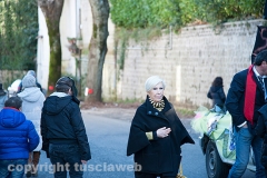 Carnevale - Ronciglione  - La sfilata di carri e gruppi