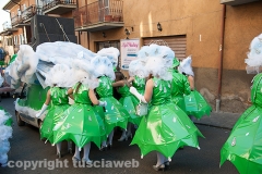 Carnevale - Ronciglione  - La sfilata di carri e gruppi