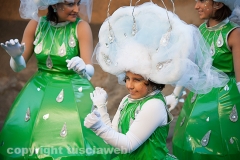 Carnevale - Ronciglione  - La sfilata di carri e gruppi