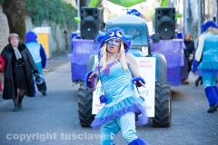 Carnevale - Ronciglione  - La sfilata di carri e gruppi