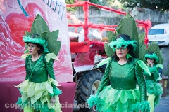 Carnevale - Ronciglione  - La sfilata di carri e gruppi