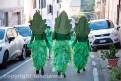 Carnevale - Ronciglione  - La sfilata di carri e gruppi