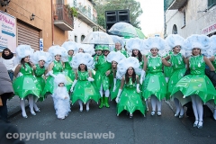 Carnevale - Ronciglione  - La sfilata di carri e gruppi