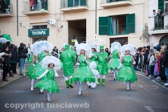 Carnevale - Ronciglione  - La sfilata di carri e gruppi