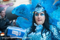 Carnevale - Ronciglione  - La sfilata di carri e gruppi