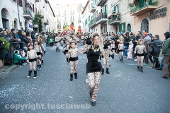 Carnevale - Ronciglione  - La sfilata di carri e gruppi