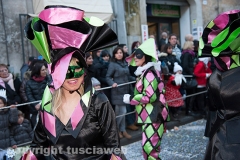 Carnevale - Ronciglione  - La sfilata di carri e gruppi