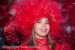 Carnevale - Ronciglione  - La sfilata di carri e gruppi