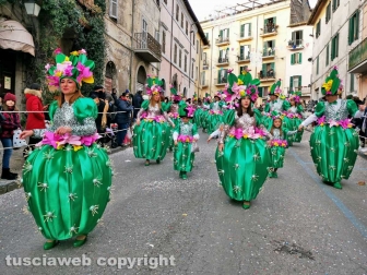 Il Carnevale di Ronciglione