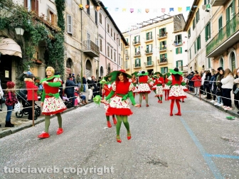 Il Carnevale di Ronciglione