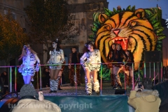 Il gruppo delle Tigri dell\'InsideGym