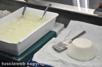 Viterbo - Caseificio Cioffi - I prodotti di Cioffi