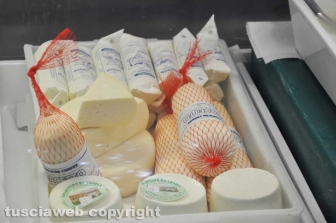 Viterbo - Caseificio Cioffi - I prodotti di Cioffi