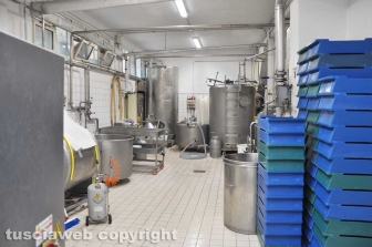 Viterbo - Caseificio Cioffi