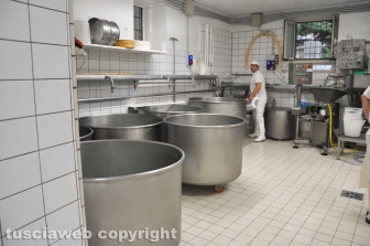 Viterbo - Caseificio Cioffi