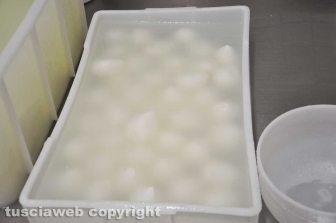 Viterbo - Caseificio Cioffi - Le mozzarelle