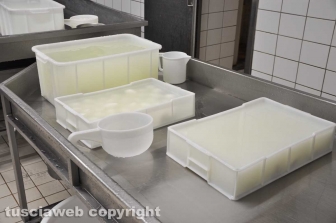 Viterbo - Caseificio Cioffi - Le mozzarelle