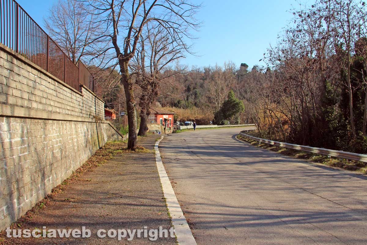 Cassia sud
