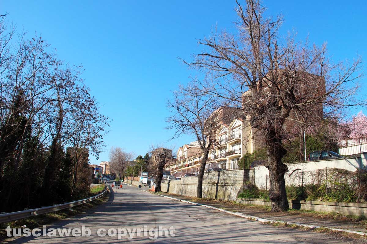 Cassia sud