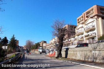Cassia sud