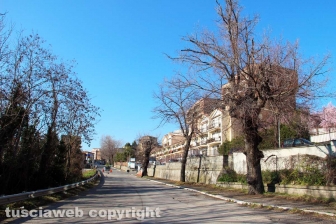 Cassia sud