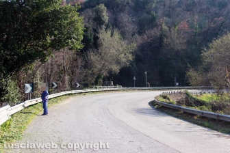 Cassia sud