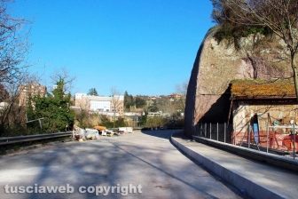 Cassia sud