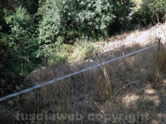 Castel d’Asso, fra rifiuti ed erbacce