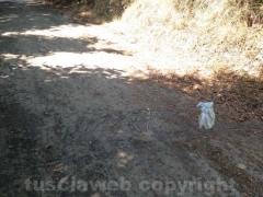 Castel d’Asso, fra rifiuti ed erbacce