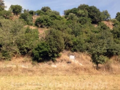 Castel d’Asso, fra rifiuti ed erbacce
