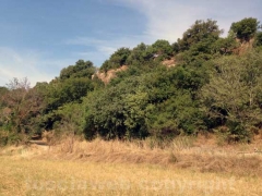 Castel d’Asso, fra rifiuti ed erbacce