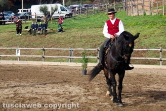 Cavalli a Natale