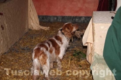 Il rione Rocca