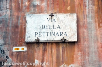 Centro antiviolenza Penelope