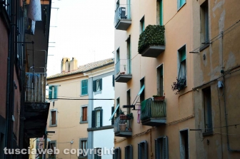 Centro antiviolenza Penelope