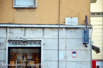 Centro antiviolenza Penelope
