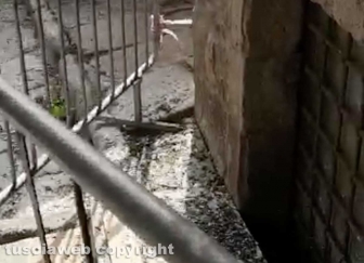 Viterbo - Guano a San Pellegrino