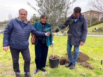 Cgil, Cisl e Uil piantano un albero per le vittime di femminicidio