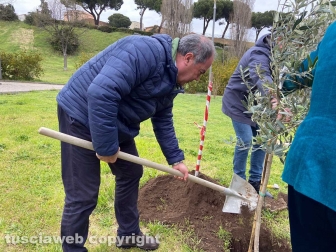 Cgil, Cisl e Uil piantano un albero per le vittime di femminicidio