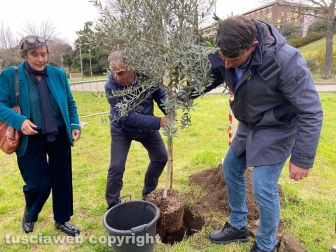 Cgil, Cisl e Uil piantano un albero per le vittime di femminicidio