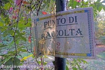 La condizione in cui versa la Chemical city
