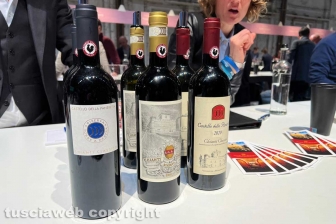 Firenze - Chianti classico collection 2023