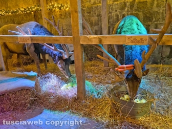 Viterbo - Inaugurazione Christmas Village 2021
