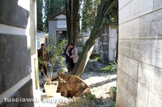 Tombe distrutte e alberi divelti