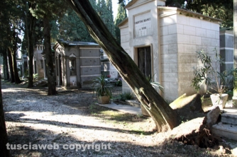 Tombe distrutte e alberi divelti