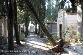 Tombe distrutte e alberi divelti